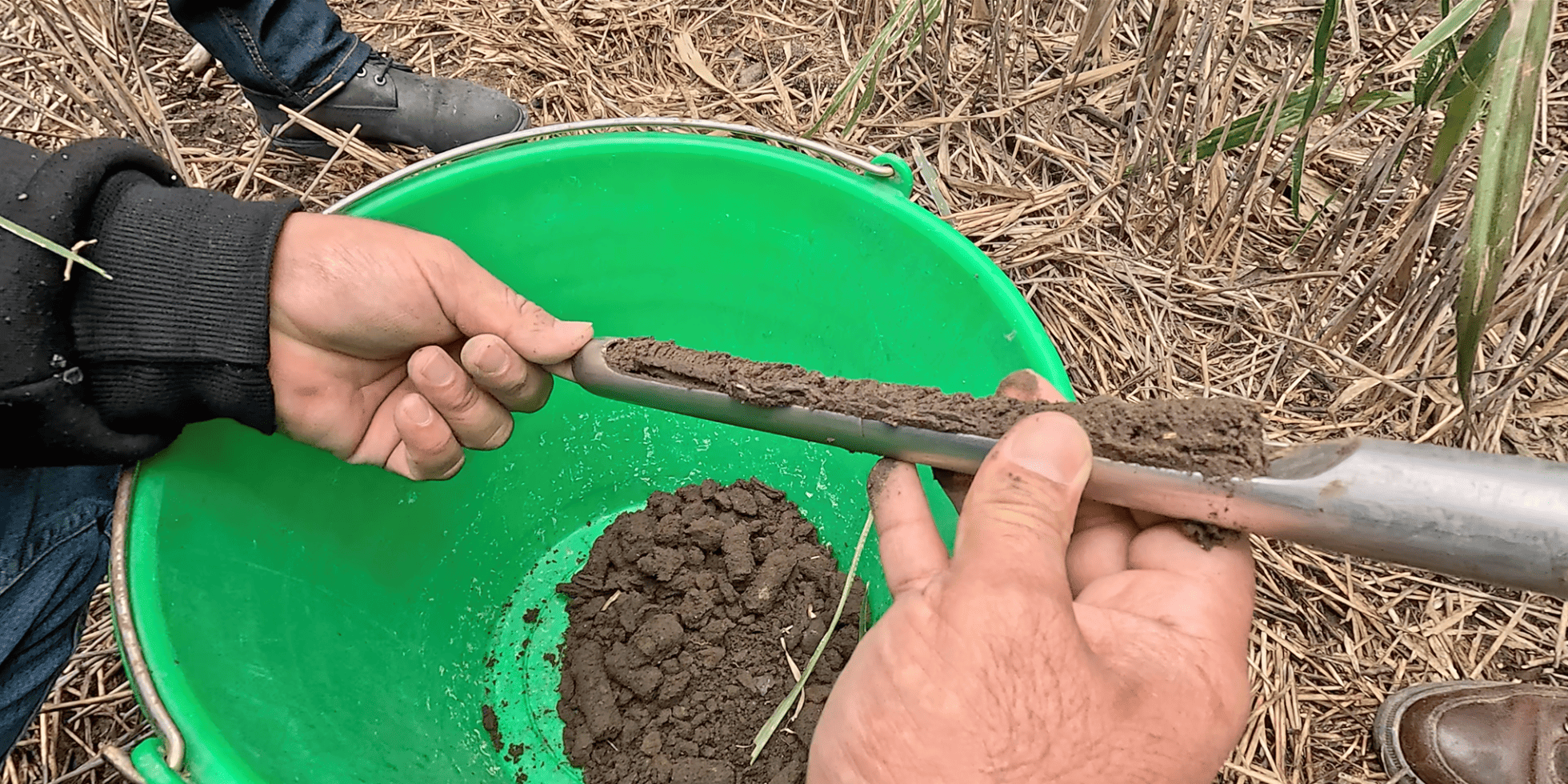 Toma de muestras de suelo en el Altiplano. (Foto: CIMMYT)